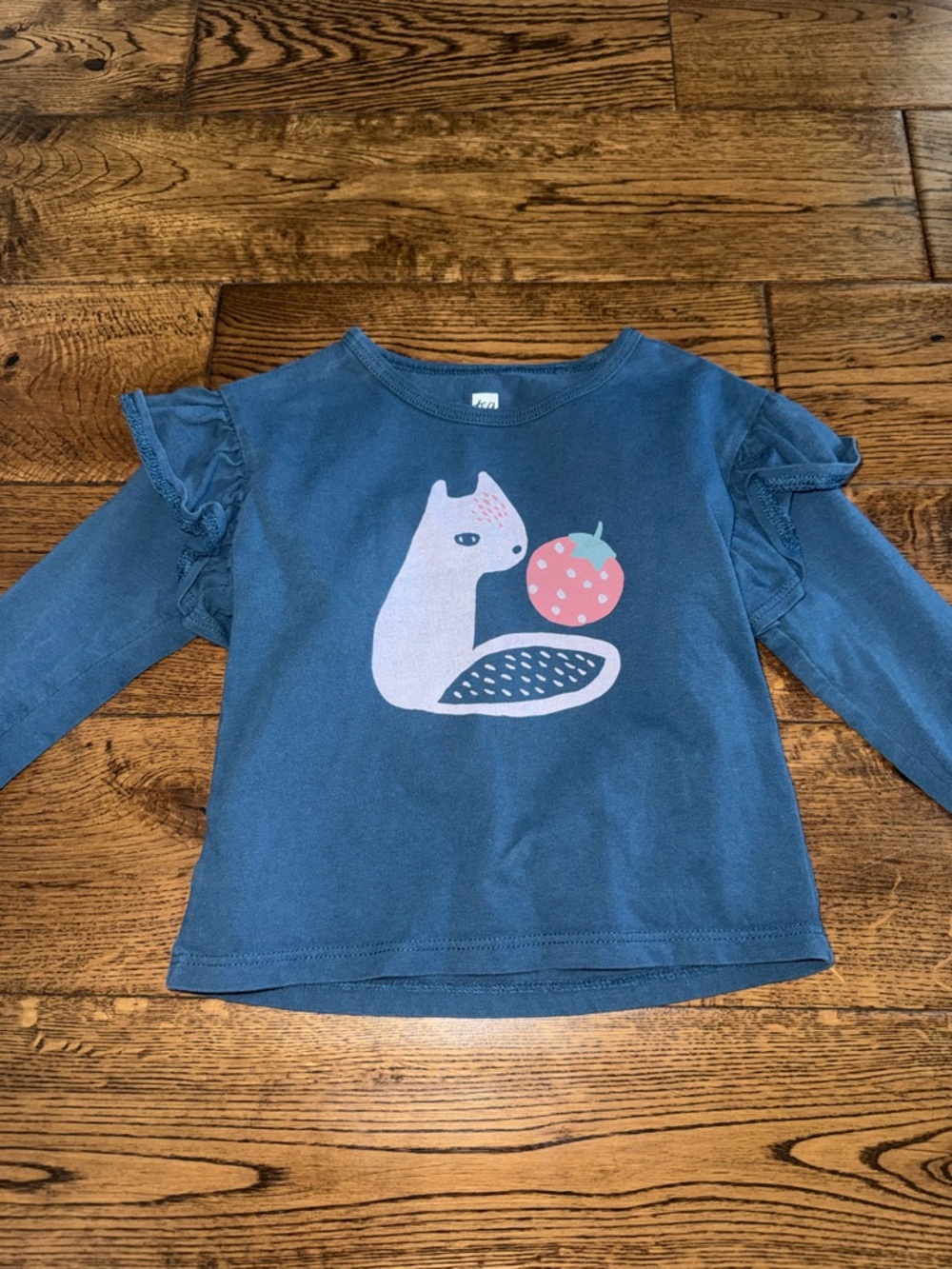TEA Blue Ruffle Long Sleeve Top Size 2T